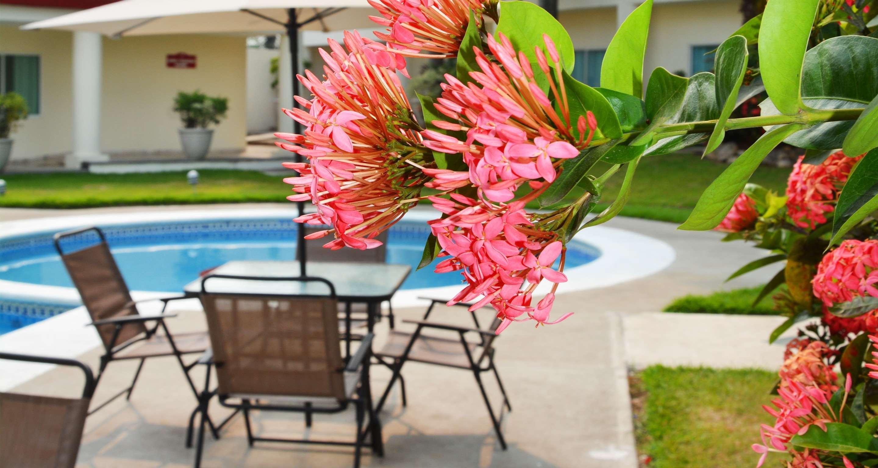 Gran Tuxtepec Plaza Hotel Exterior photo